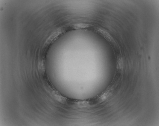 X0000076080426200610061621