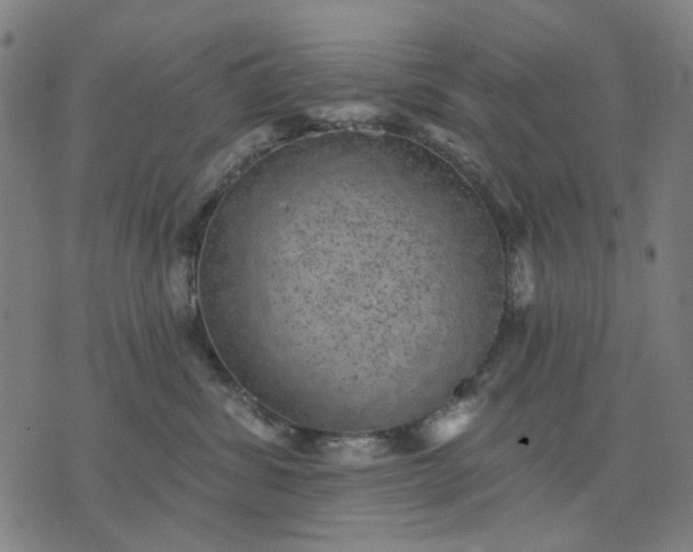 X0000076080428200610061621