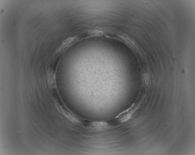 X0000076080429200610061621