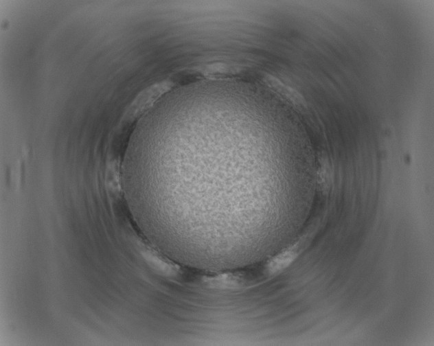 X0000076080430200610061621