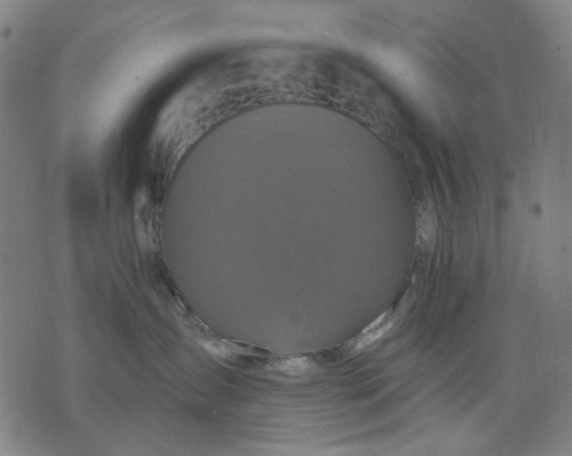 X0000076080431200610061621