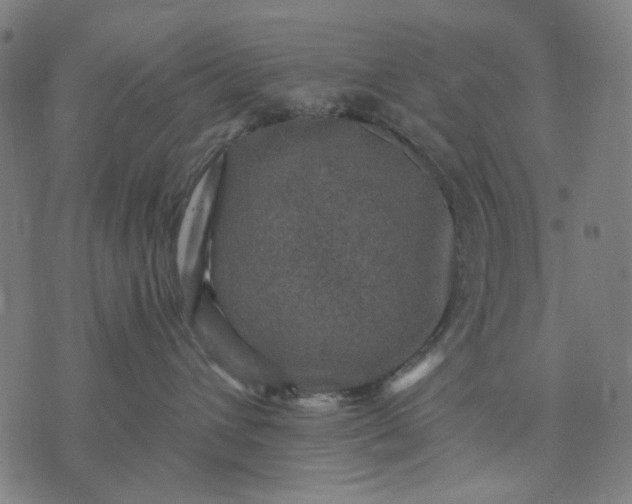 X0000076080432200610061620