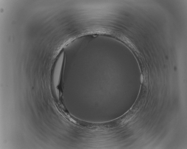 X0000076080434200610061620