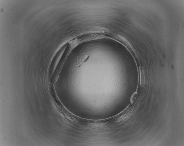 X0000076080435200610061620