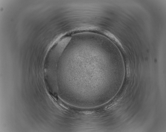 X0000076080436200610061620