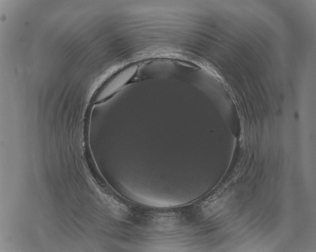 X0000076080438200610061620