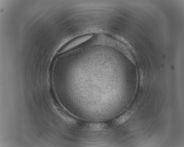 X0000076080439200610061620