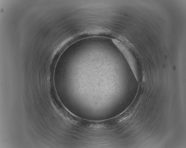 X0000076080440200610061620