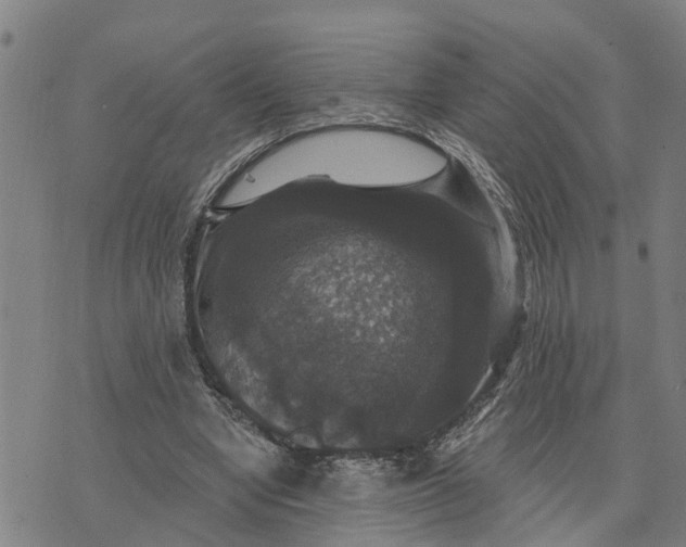 X0000076080442200610061620