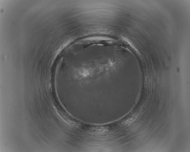 X0000076080443200610061620