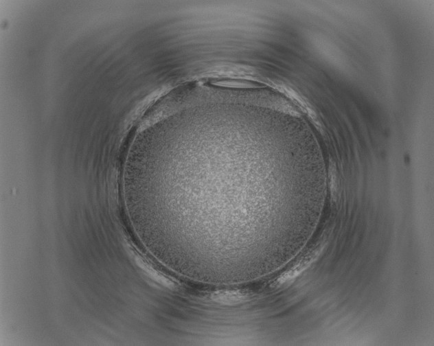 X0000076080445200610061620