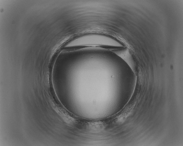 X0000076080446200610061620