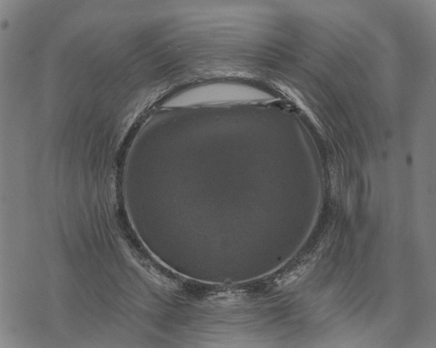 X0000076080447200610061620