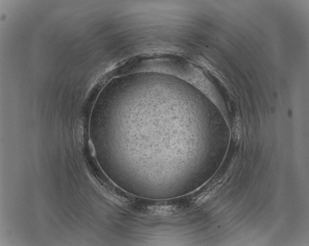 X0000076080448200610061620