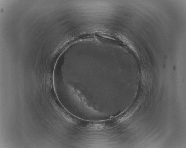 X0000076080449200610061620