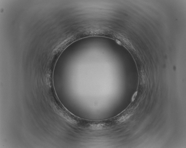 X0000076080450200610061620