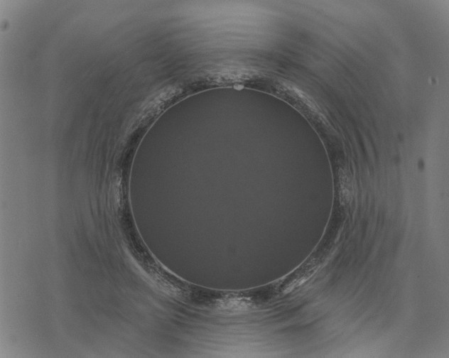 X0000076080451200610061620