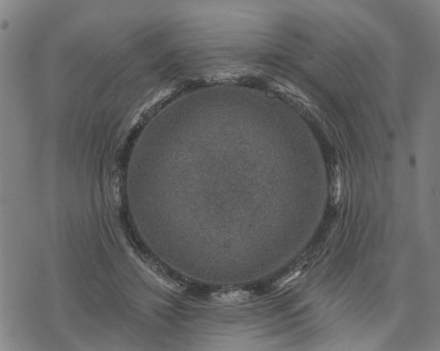 X0000076080452200610061620