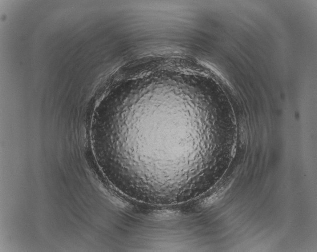 X0000076080453200610061620