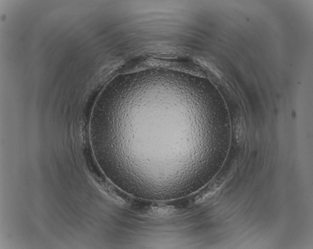 X0000076080455200610061620