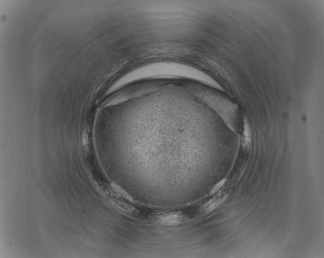 X0000076080456200610061620