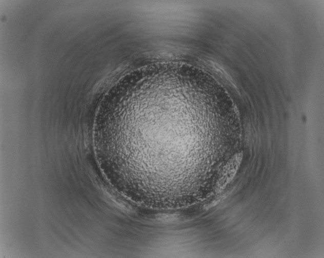 X0000076080457200610061620