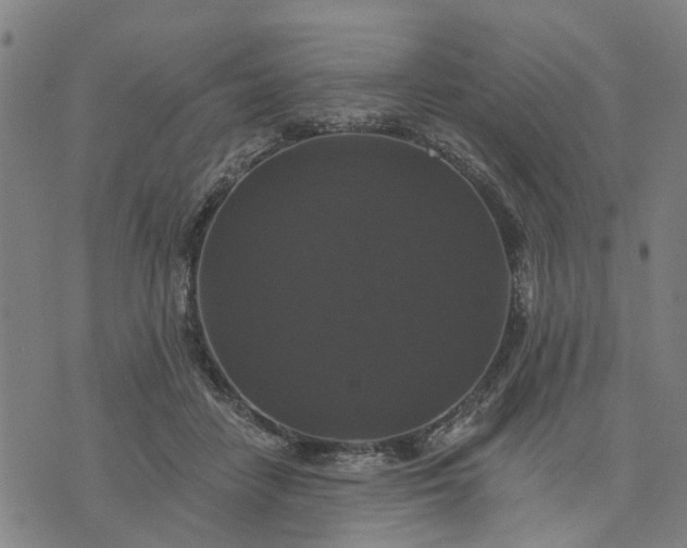 X0000076080458200610061620