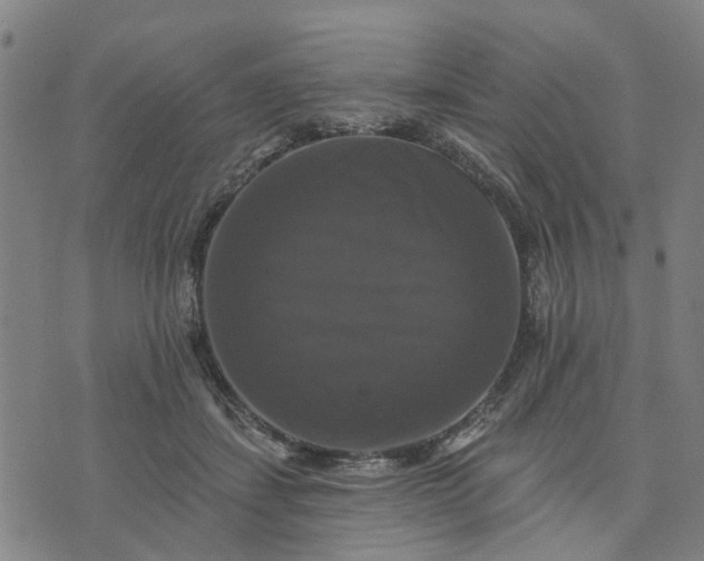 X0000076080459200610061620