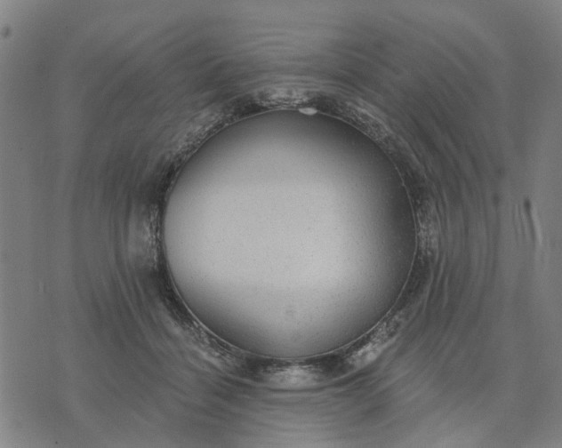 X0000076080460200610061620