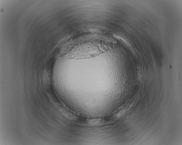 X0000076080461200610061620