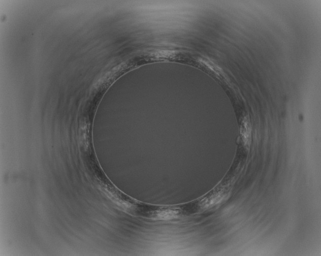 X0000076080462200610061620