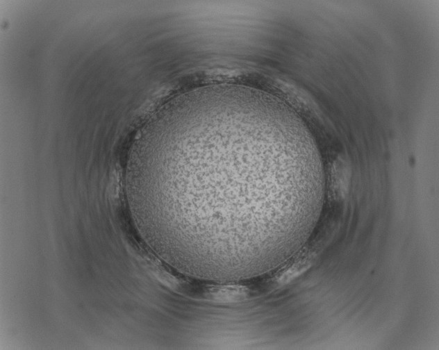 X0000076080463200610061620