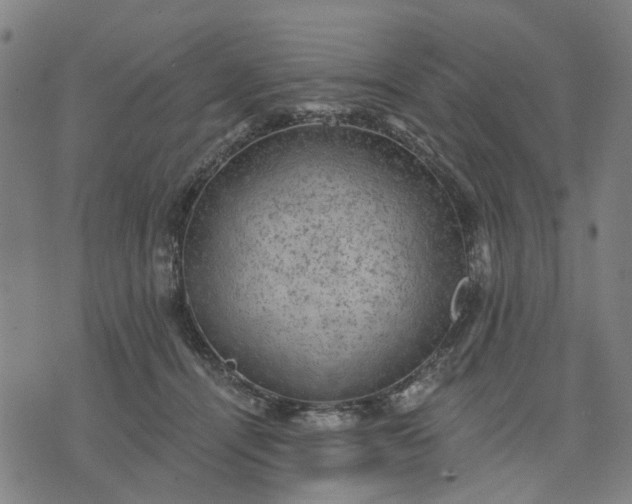 X0000076080464200610061620