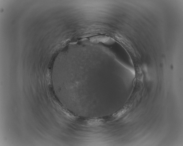 X0000076080465200610061620