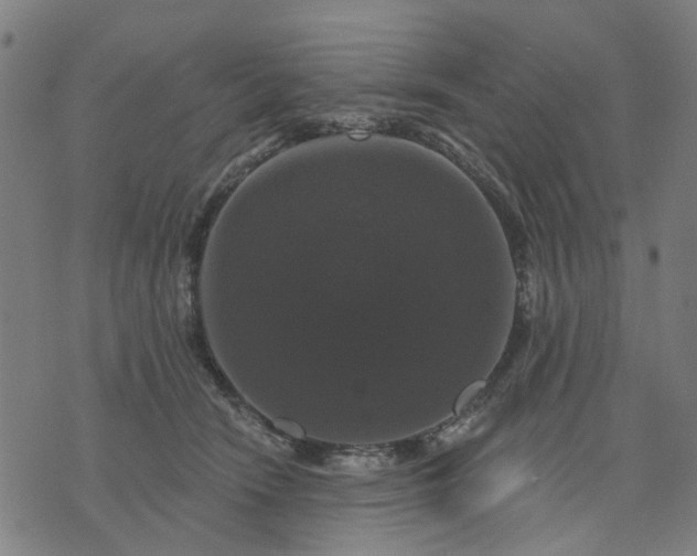 X0000076080466200610061620