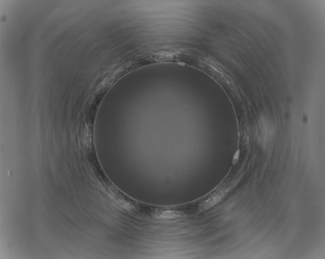 X0000076080467200610061620