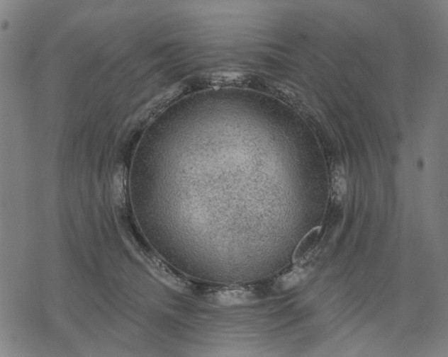 X0000076080468200610061620