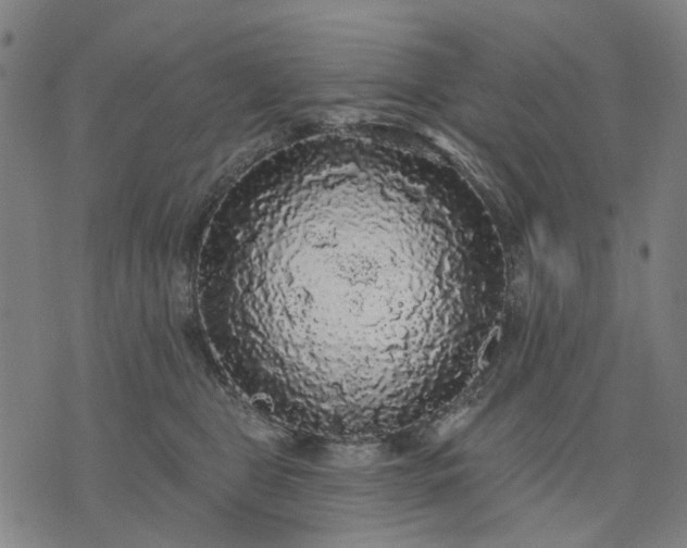 X0000076080469200610061620