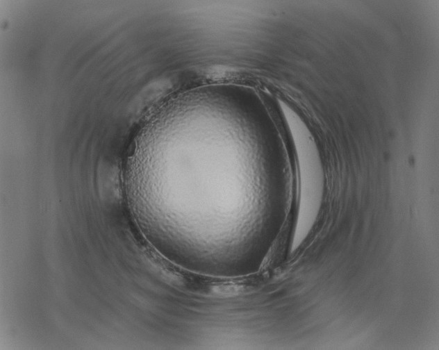 X0000076080470200610061620