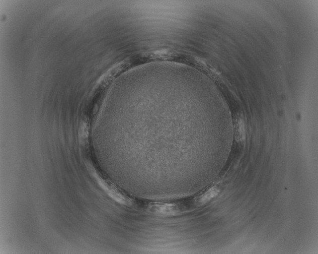 X0000076080472200610061620