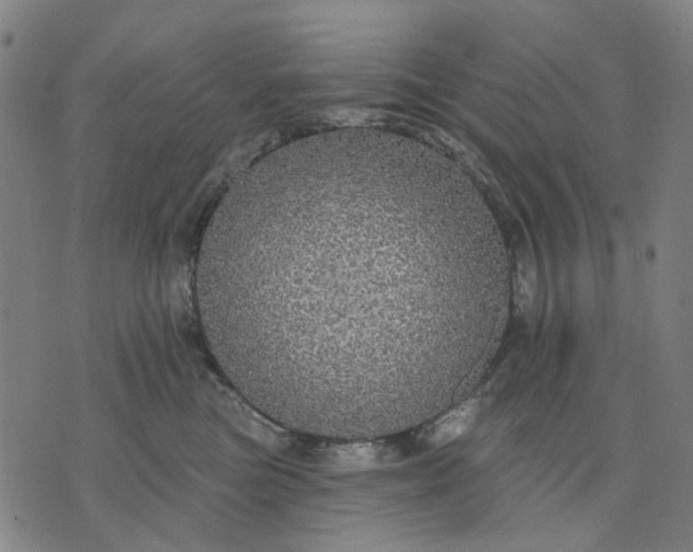 X0000076080473200610061620