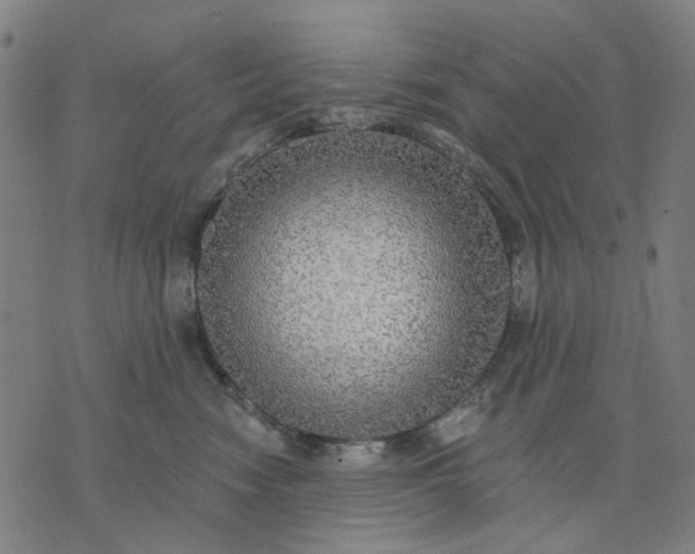 X0000076080474200610061620