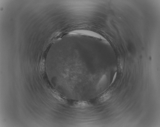 X0000076080475200610061620