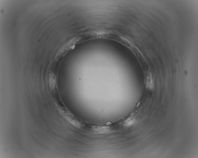 X0000076080476200610061620