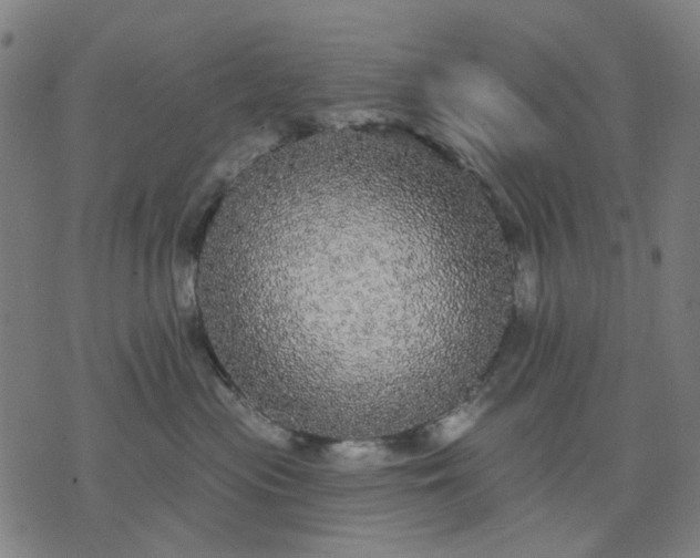 X0000076080477200610061620