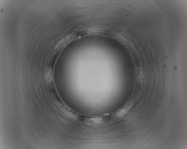 X0000076080478200610061620