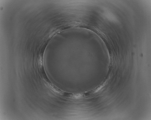 X0000076080479200610061620