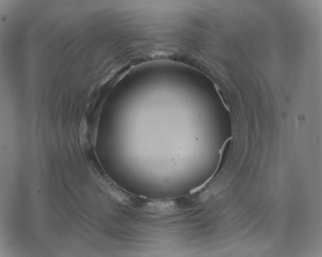 X0000076080480200610061620