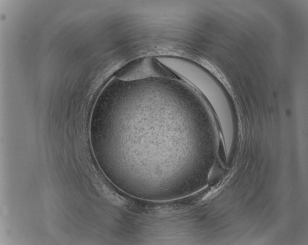 X0000076080481200610061620