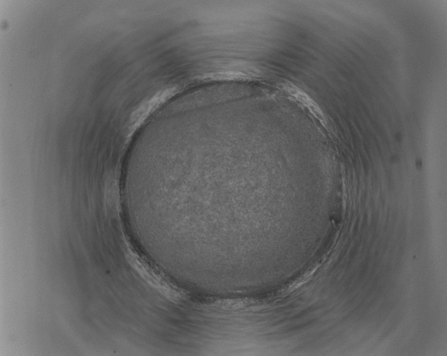 X0000076080482200610061620